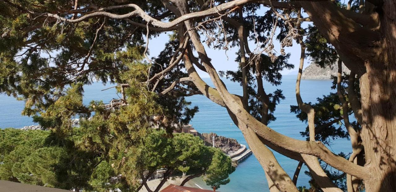 Villa Mare Blu Levanto Exteriör bild